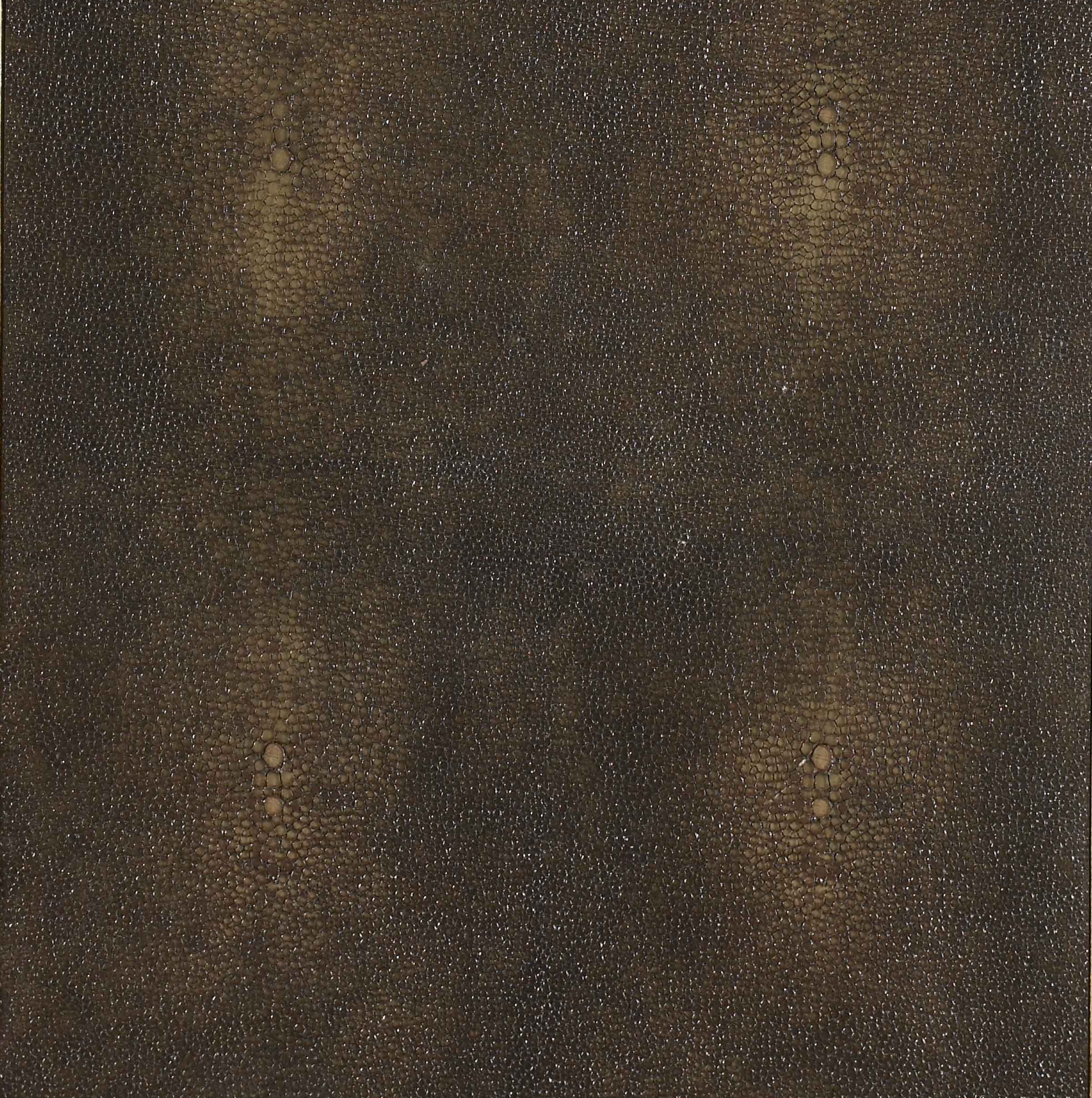 Espresso Shagreen w/ Aged Brass Front
