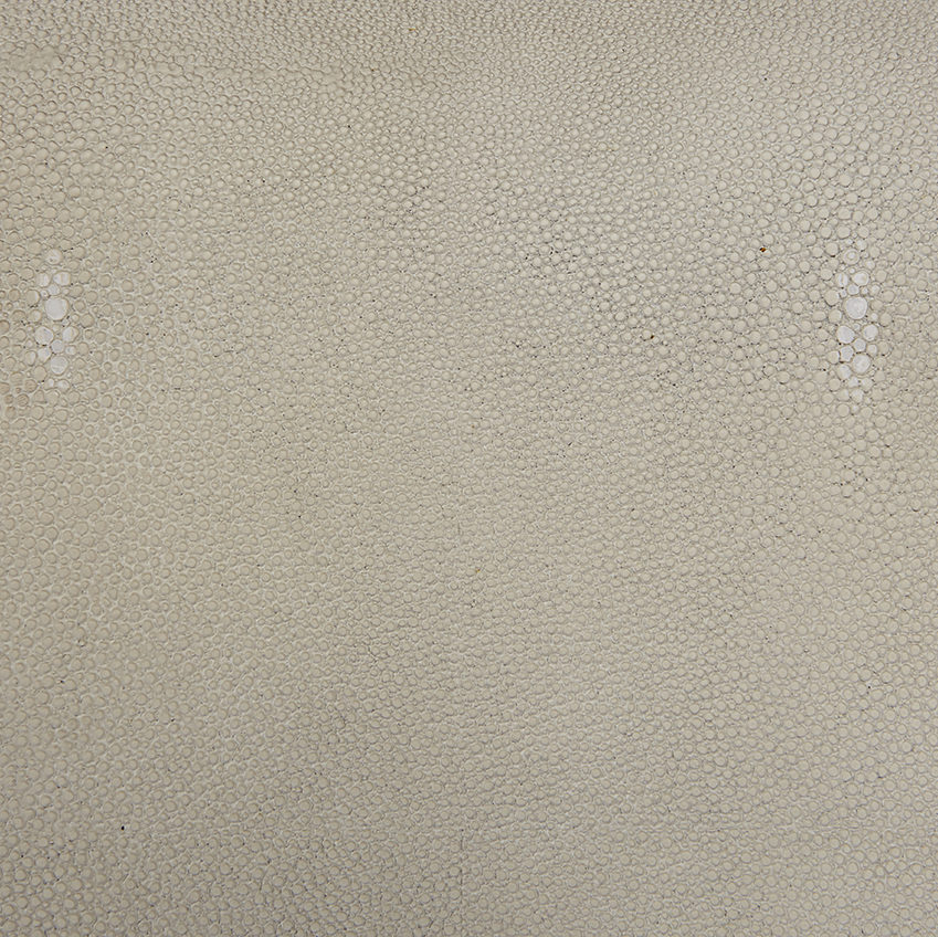 Whalebone Shagreen