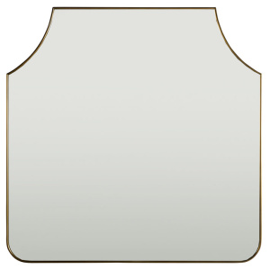 Asheville Mirror
