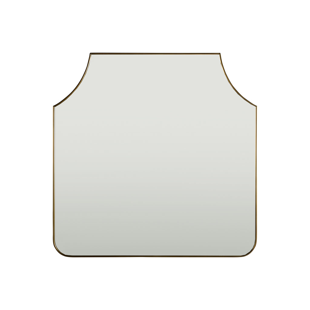 Asheville Mirror