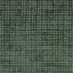 Evergreen Textured