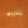 Satsuma Shagreen