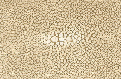 Vanilla Shagreen